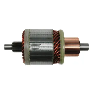 Ankare Ford 12V