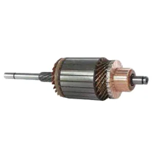 Ankare Bosch 12V