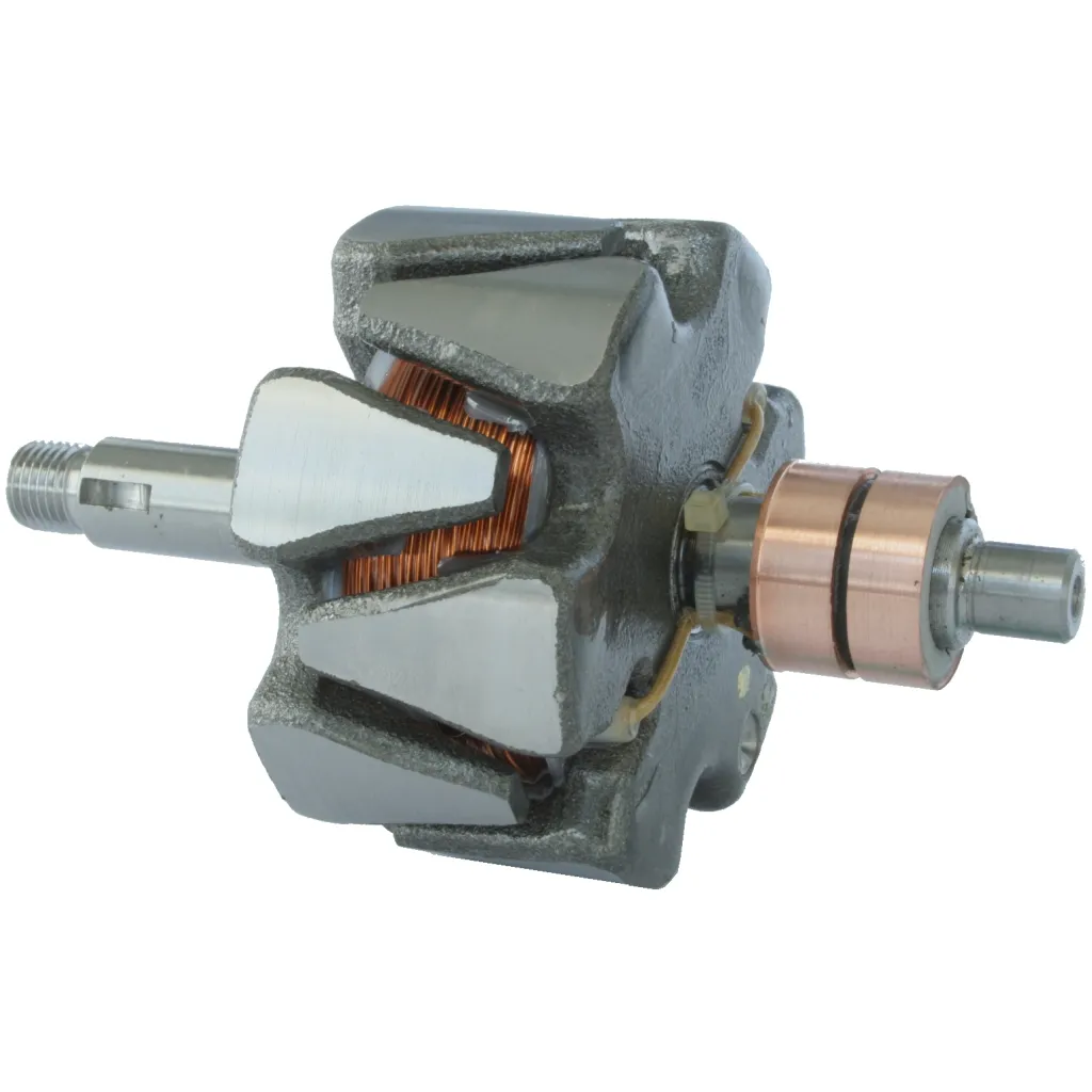 Rotor