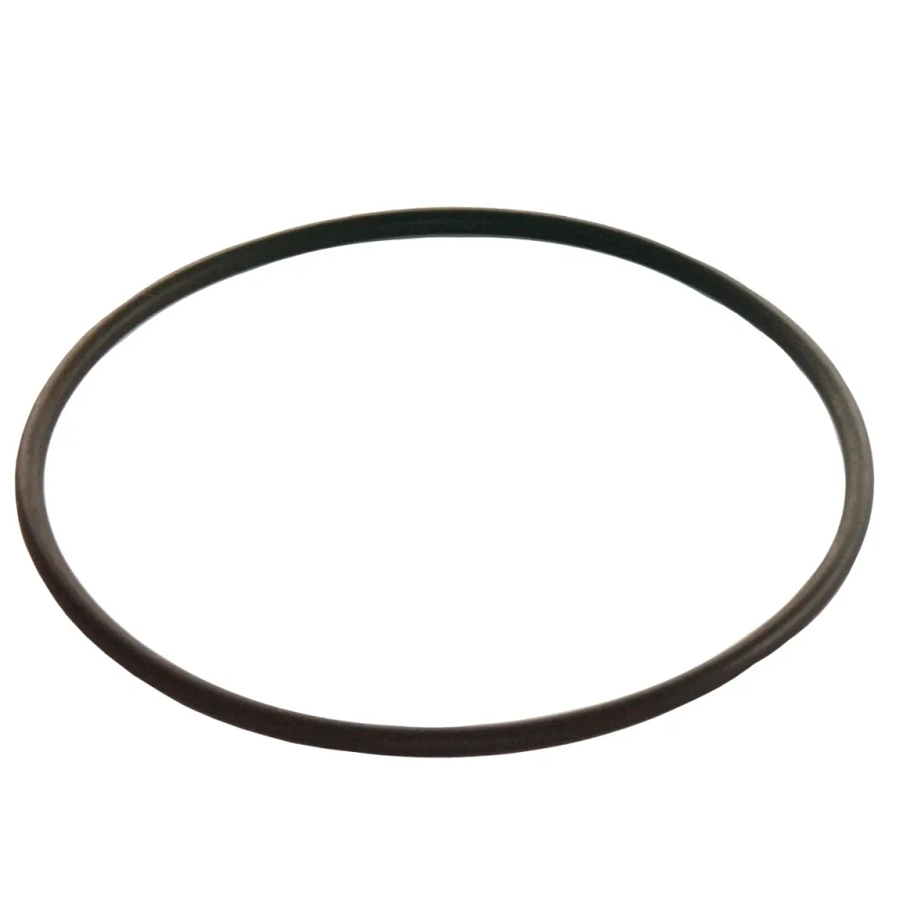 O-ring