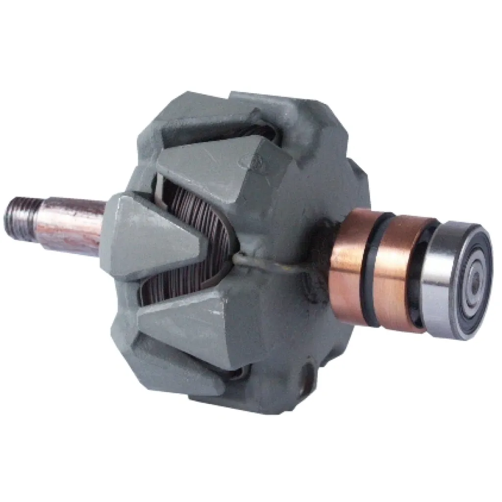 Rotor