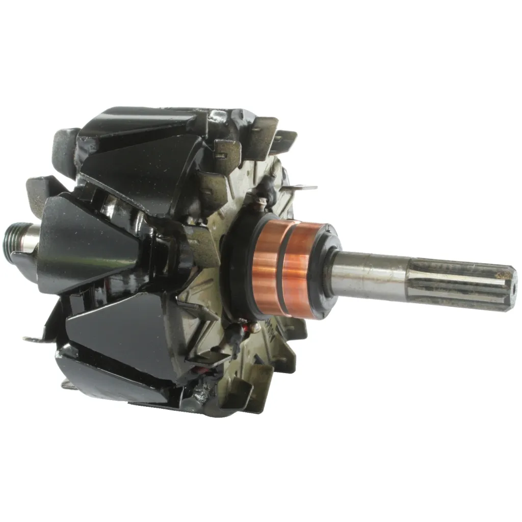 Rotor