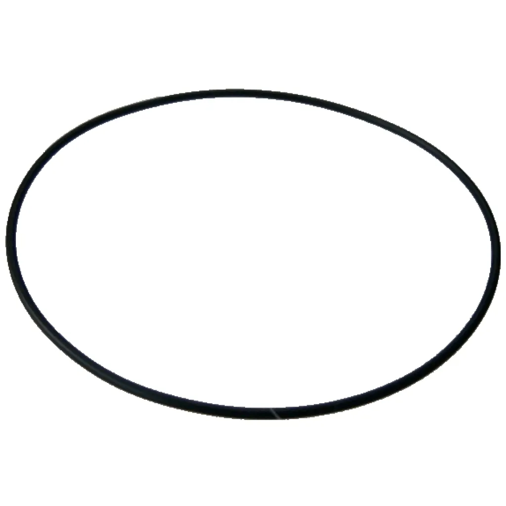 O-ring