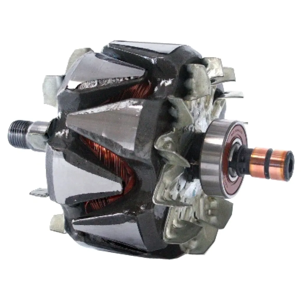 Rotor