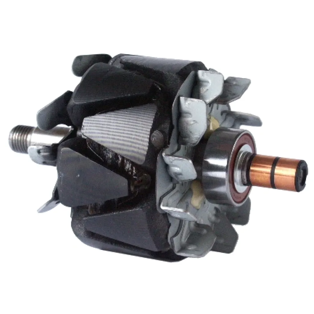Rotor