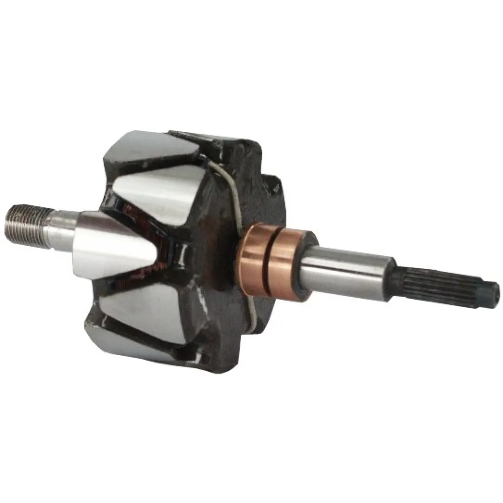 Rotor