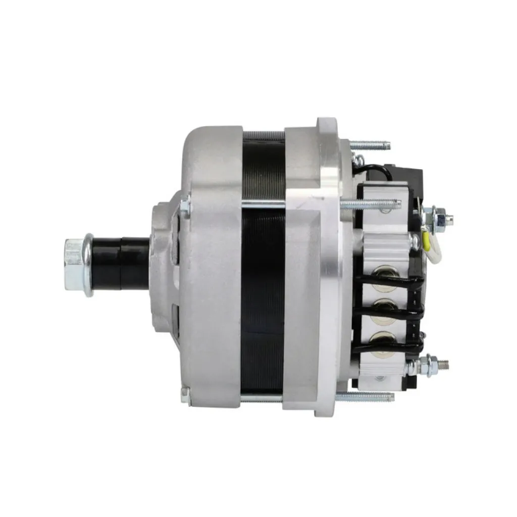 Generator 12V 80A, Mahleutförande