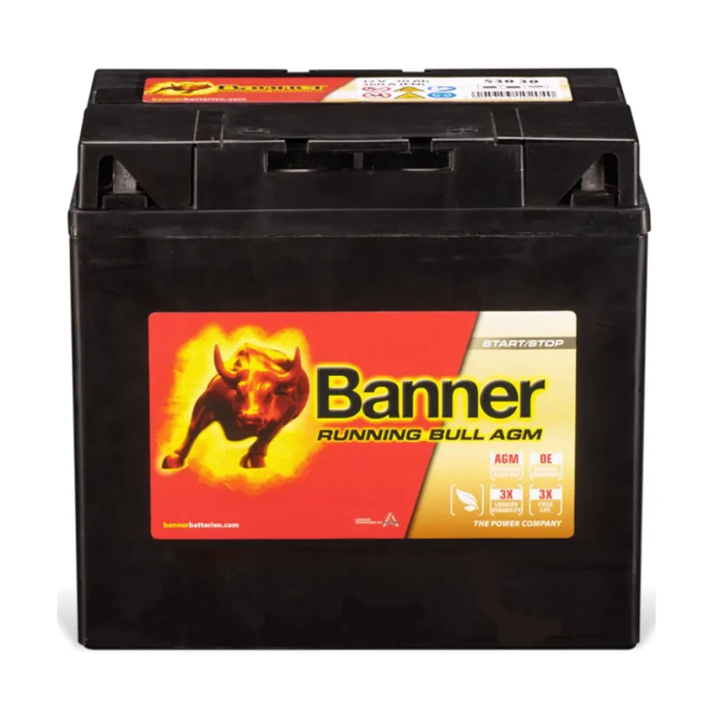 Batteri 12V 30Ah 360CCA Banner AGM +V