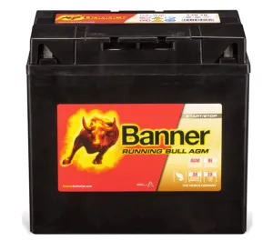 Batteri 12V 30Ah 360CCA Banner AGM +V