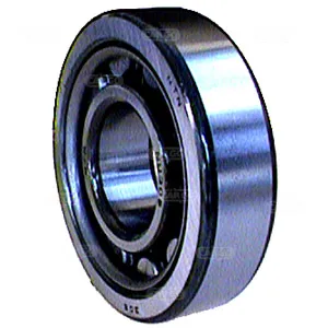 Rullager 25/62x17mm